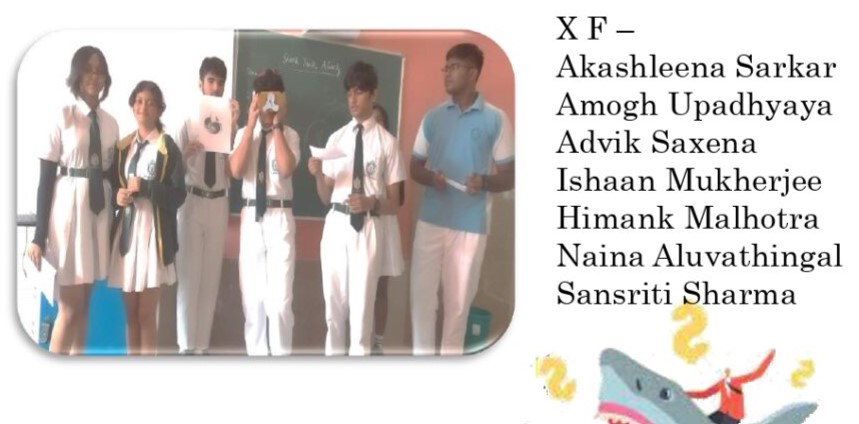 Team award Best Shark Tank